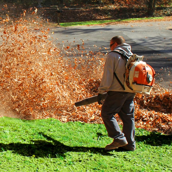 LEAF REMOVAL | Chattanooga's Premier Lawn Care and Landscaping ...
