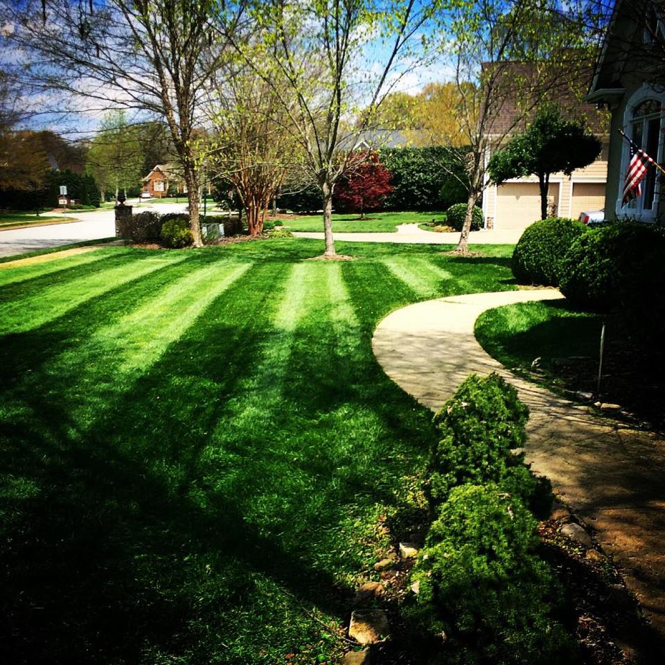 Chattanooga Lawn Care